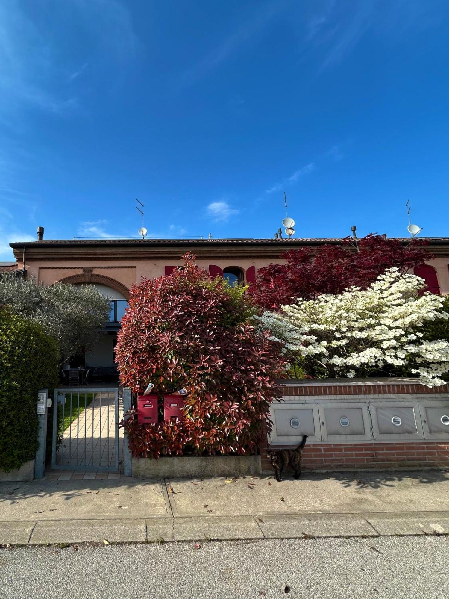 Soranza Suite Castelfranco Veneto Extérieur photo